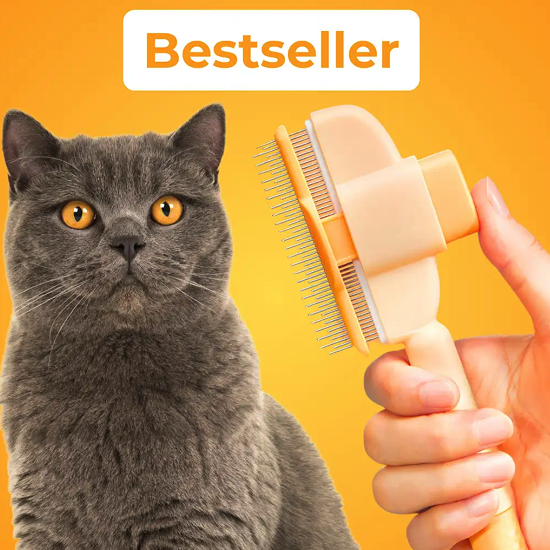 Brosse Attrape’Poils – Notre Bestseller