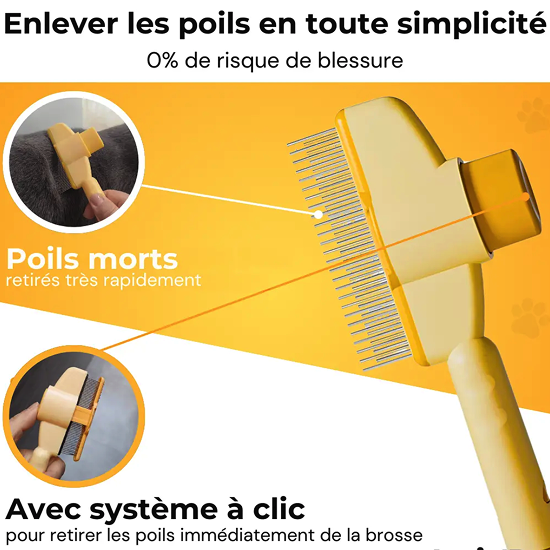 Brosse Attrape’Poils – Notre Bestseller