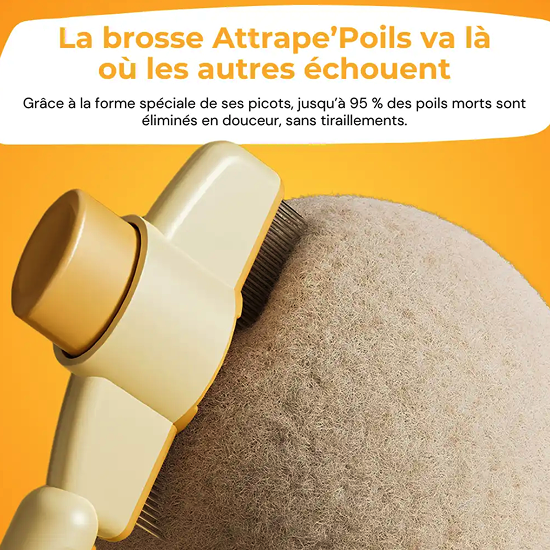 Brosse Attrape’Poils – Notre Bestseller