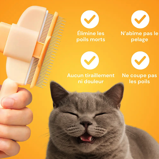 Brosse Attrape’Poils – Notre Bestseller