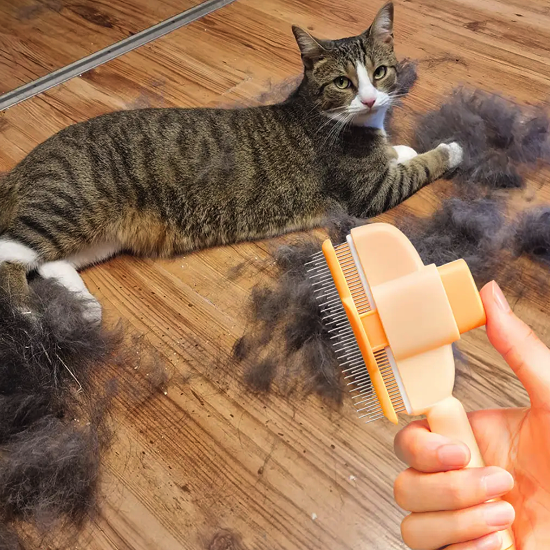 Brosse Attrape’Poils – Notre Bestseller