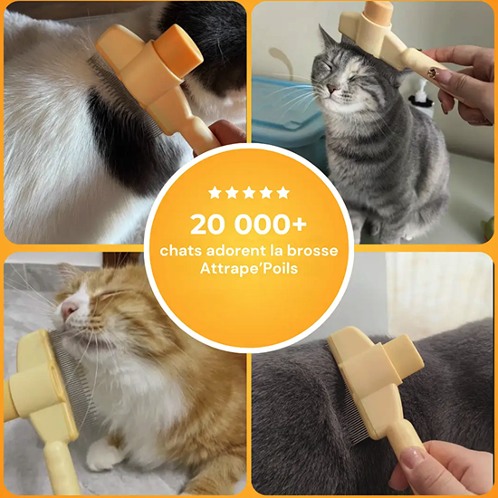 Brosse Attrape’Poils – Notre Bestseller