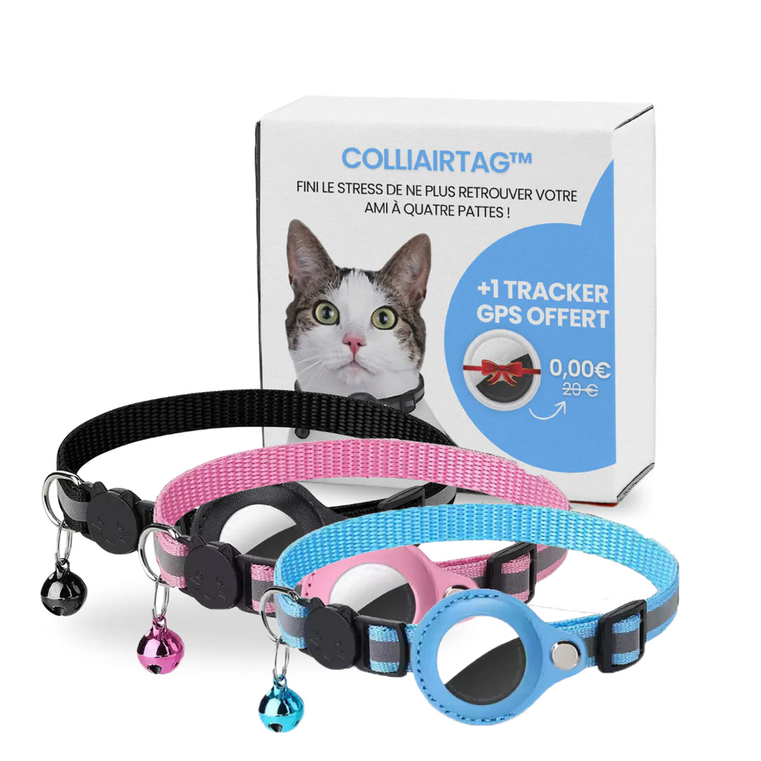 Collier GPS pour chat