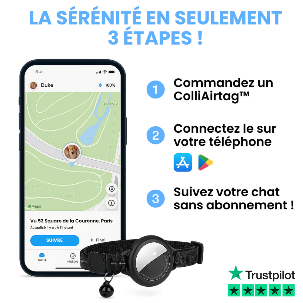 Collier GPS pour chat