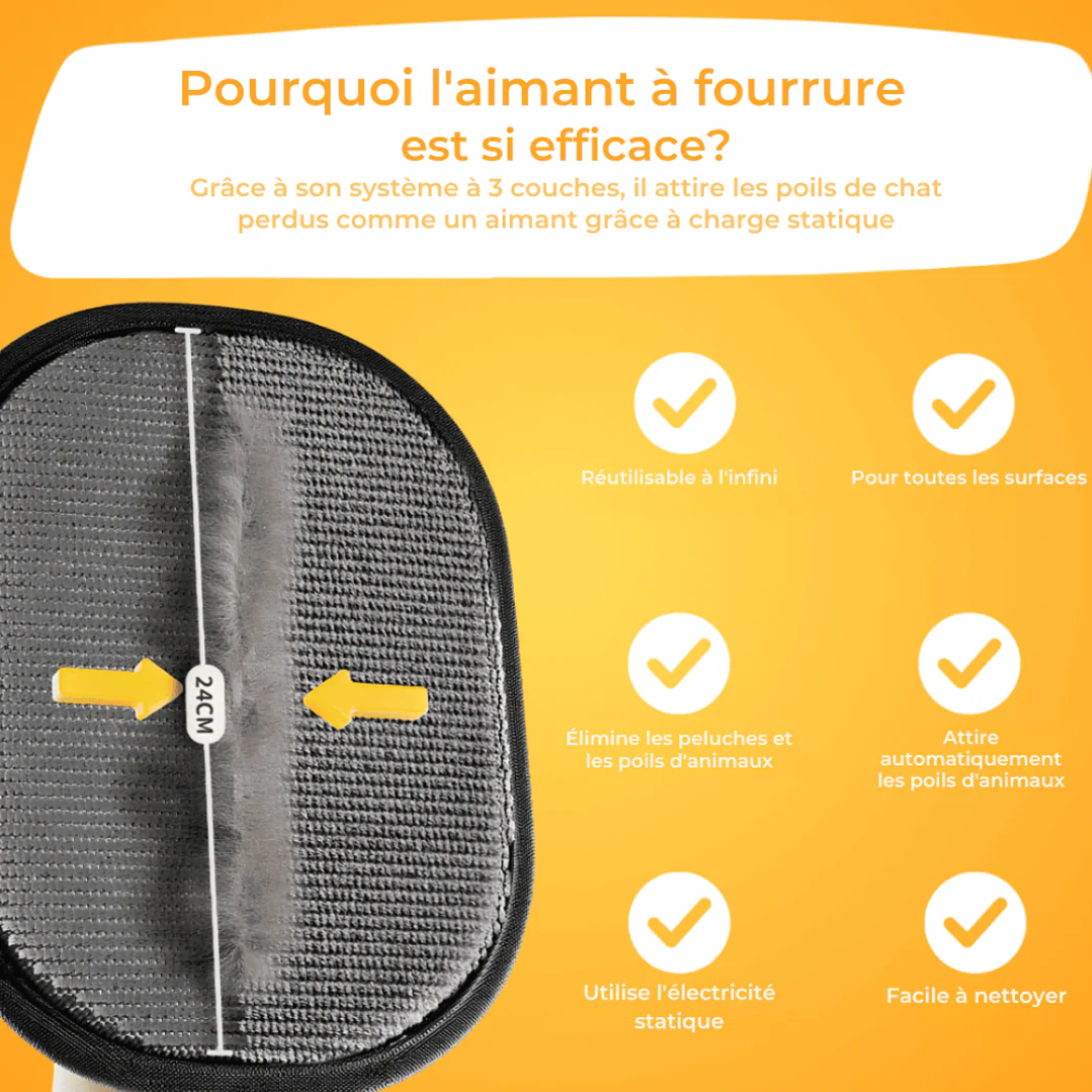 Fellmagnet™ x3 – Lot Économique | Dites adieu aux poils !