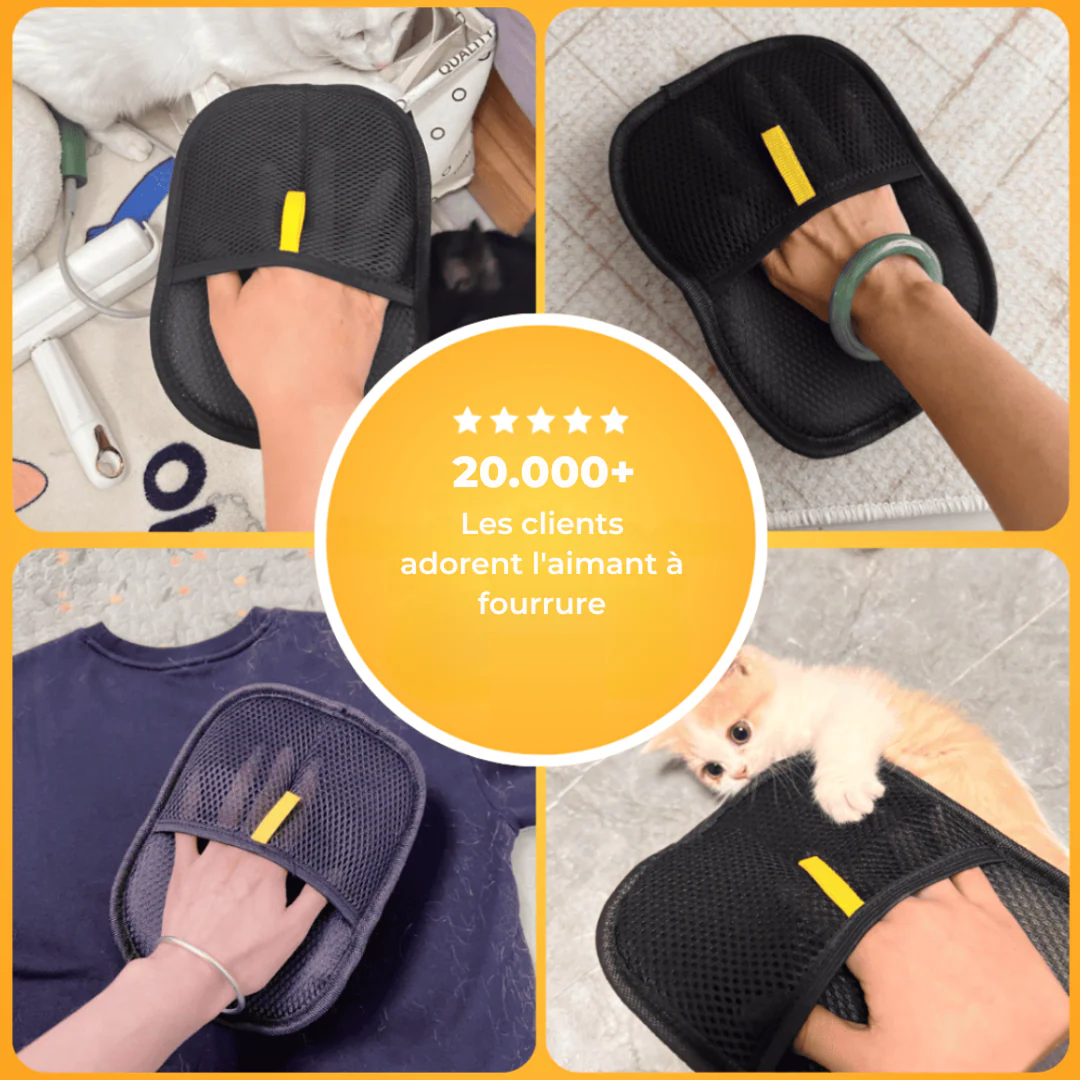 Fellmagnet™ x3 – Lot Économique | Dites adieu aux poils !