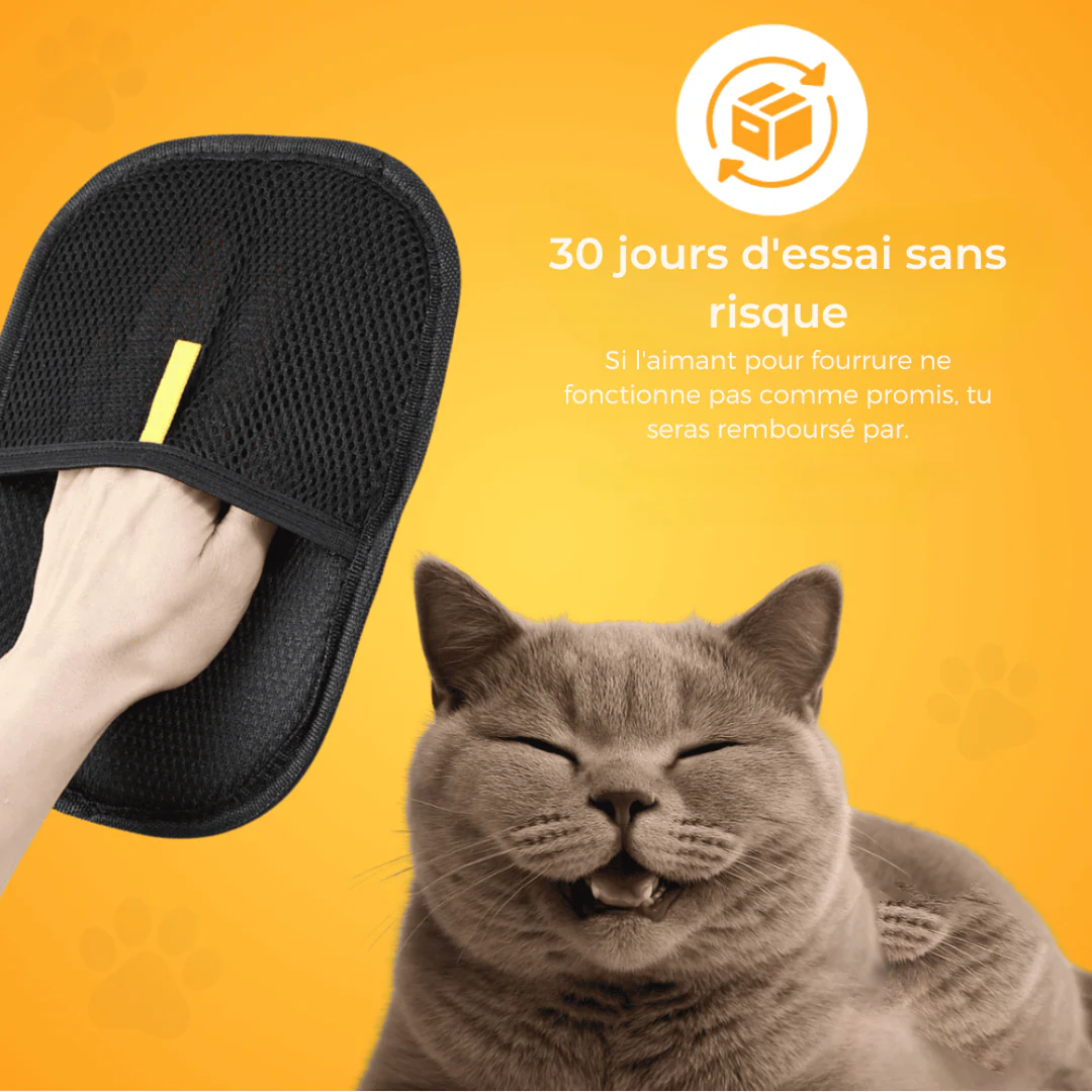 Fellmagnet™ x3 – Lot Économique | Dites adieu aux poils !